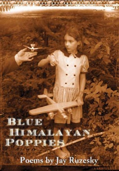Blue Himalayan Poppies